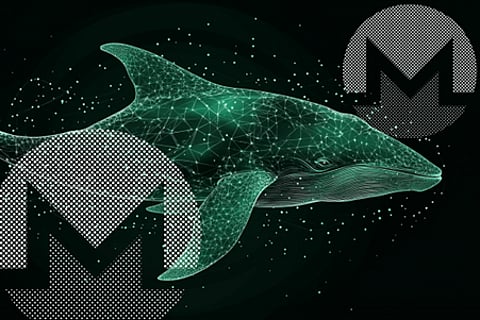 Lunex Network