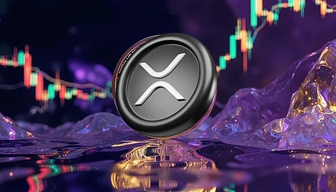 Rexas Finance