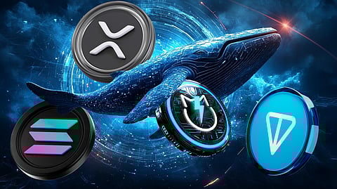 Why Crypto Whales Are Quietly Accumulating XRP, Solana, JetBolt, and Toncoin