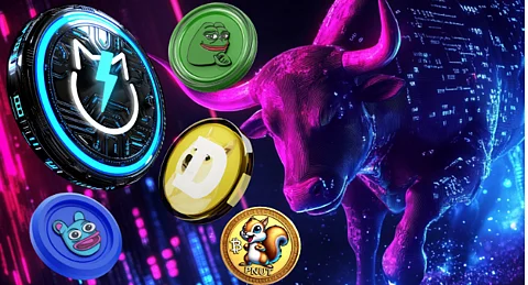 Top Meme Coins for the Crypto Bull Run