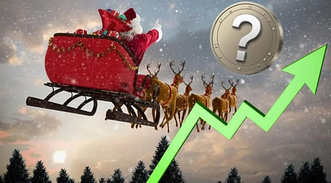 Winter Meme Coin Rally