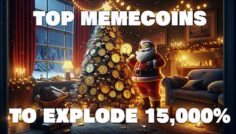 Christmas meme coin picks