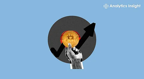 Bitcoin Market Cap Set to Skyrocket: Could It Double by 2026?