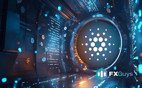 Cardano Investors