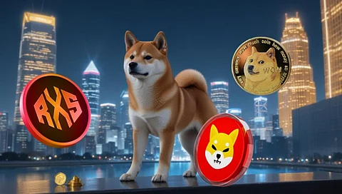 Dogecoin (DOGE) and Shiba Inu (SHIB) Won't Even Rally