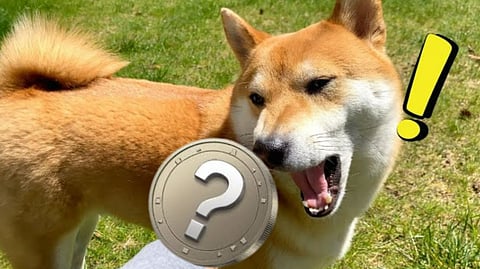 Shiba Inu’s 2021 Rally May Have Met Its Match: Three Altcoins to Watch by 2025
