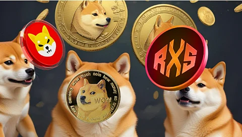 Dogecoin and Shiba Inu Investors Pivot to This New Coin as DOGE and SHIB Volumes Crash
