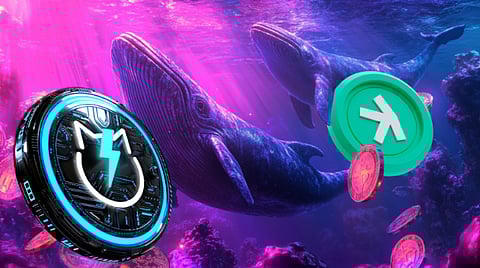 Kaspa Price Forecast: Can KAS Reach $1 as Whales Rake in JetBolt Tokens