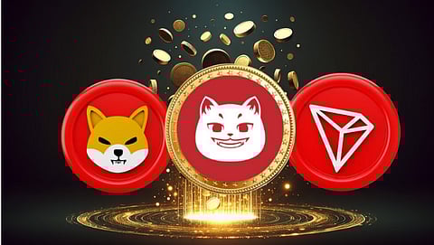 The Best Coin Investment Under $0.1 for 2025: A Strong Contender