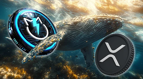 XRP Price Prediction: Can XRP Reach $5 This Altseason as Jetbolt Sparks Crypto Whales' Interest