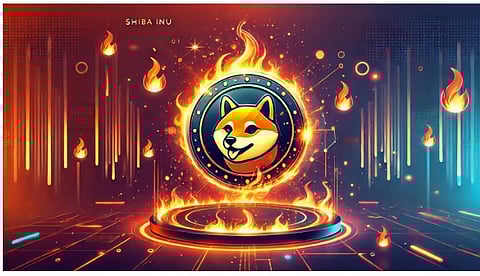 Shiba Inu Price Prediction: SHIB Burn Rate Soars As Yeti