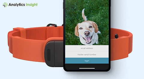 AI-Powered Pet Care Gadgets for Busy Owners