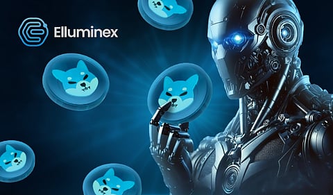 Shiba Inu Price Prediction