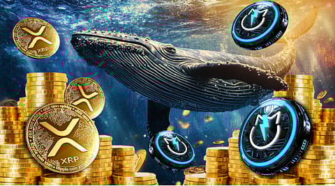 XRP Price Prediction