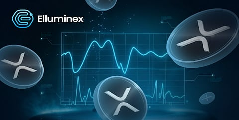 Whales Holding Ripple (XRP) Hit Record Highs, While New Altcoin Star Hits New Record Raise