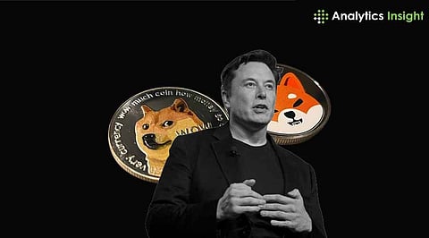 Elon Musk, Donald Trump