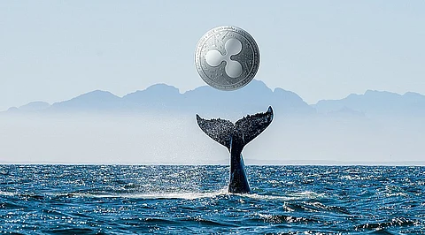 Whales Offload 330M ADA and Move To This New Coin, Ripple Faces Potential Crash Below $2
