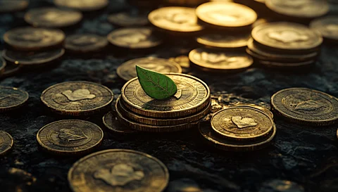 Dogwifhat Defies Solana Meme Coins Crash As $WIF Price Sees 5% Spike