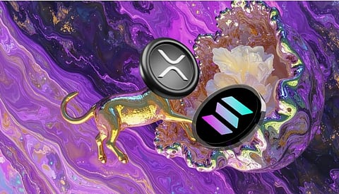 Indicator That Foreshadowed Ripple’s (XRP) 500% Rally