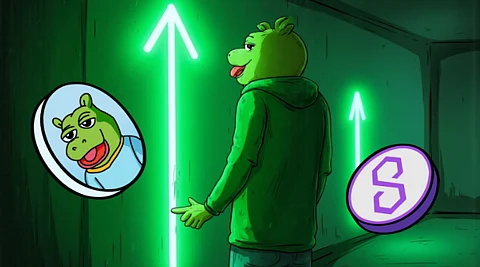 Meme Coin Showdown: 3 Projects With The Best Growth Potential For 2025