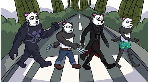 Panshibi's Market Presence Expands, Drawing Attention