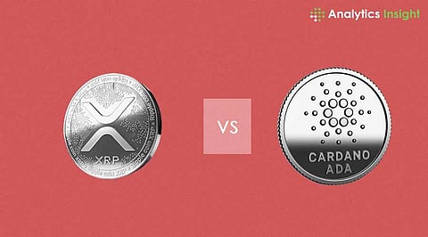 XRP vs Cardano: Which One to Buy in February 2025