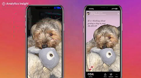 Supercharge Your Instagram Stories with AI Backdrops, Try Now