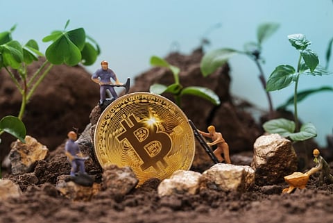 NEW How to Grow Your Crypto Portfolio While BTC, XRP, ADA and Trump