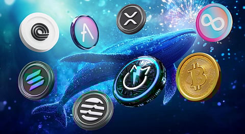 Top Cryptocurrencies to Buy Today that Crypto Whales are Fanatic About