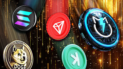 Best Cryptos to Buy Immediately - Drop Everything