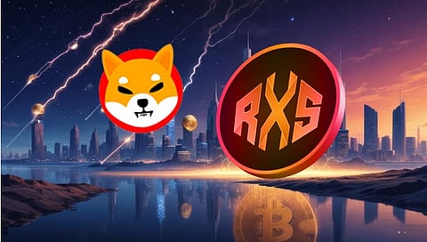 Shiba Inu (SHIB) Investor Spots Rare Bullish Signal That Could