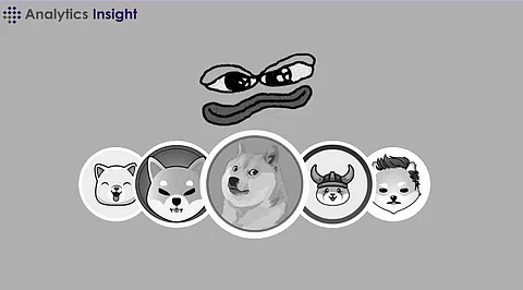 Top Meme Coins To Buy In March 2025