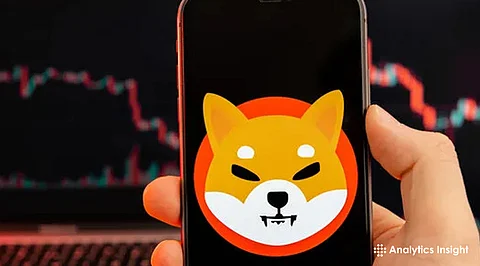 When Will Shiba Inu Price Bounce