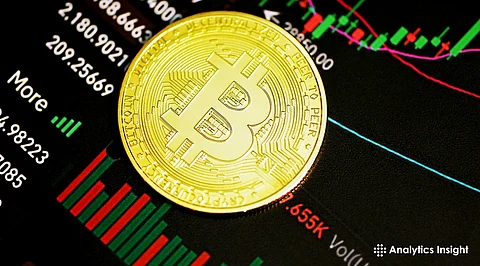 Exploring Bitcoin Price Fluctuations: A Learning Guide