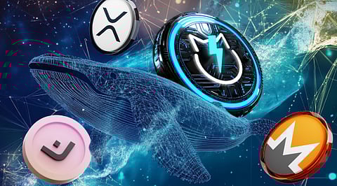 Best Crypto To Buy Now