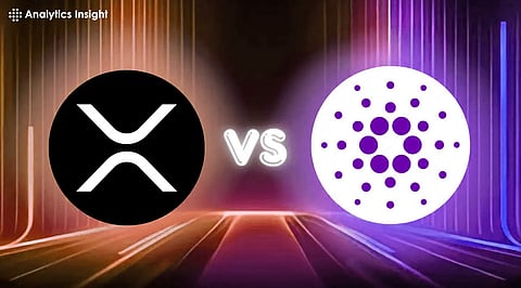 XRP vs. ADA: Who’s Poised to Win the Next Bull Run in 2025?