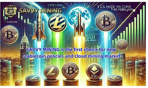BTC is highly volatile, and the golden age of choosing SAVVY MINING