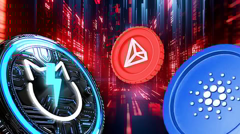 Best Crypto To Buy Now: Top 3 Cryptocurrencies To Buy and Hold