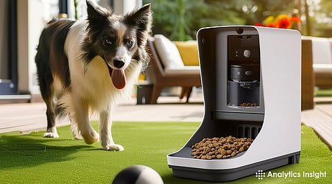 Top 8 Pet Gadgets Your Pet Will Love