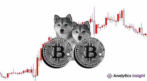 Bitcoin Analyst Explains Why SHIB Won't Hit $1 Anytime Soon