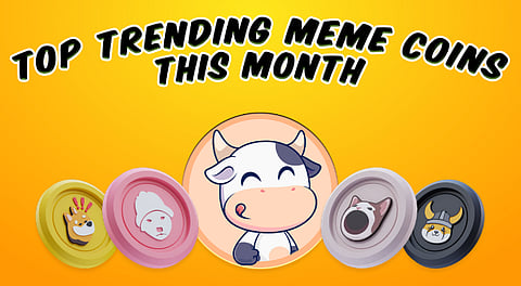 Could the 3 Best Meme Coins to Invest in April 2025 Triple Your Bag? BTFD Says Yes, With a SHIB and CHEEMS Maybe!