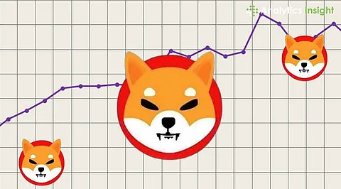 Shiba Inu: Where Will It Stand in 1 Year?