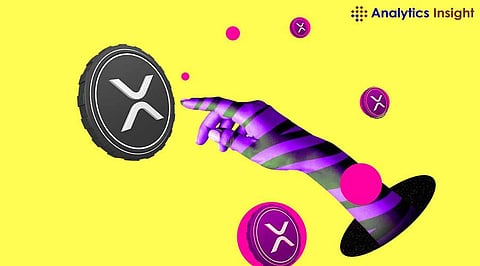 XRP at Risk of Another Crash: Key Insights Before You Invest