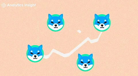 Shiba Inu