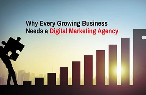 Why Every Growing Business Needs a Digital Marketing Agency
