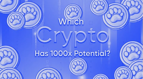 Next 1000x Crypto Picks for 2025: Top 6 Must-Buy Presales Right Now!