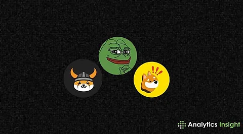 Is Dogecoin (DOGE) Finished? Analysts Back Pepe (PEPE) & MUTM To Lead