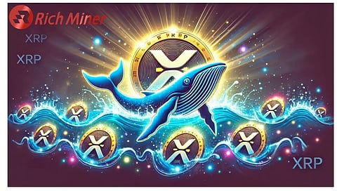 Use RICH Miner for cloud mining, XRP becomes passive income