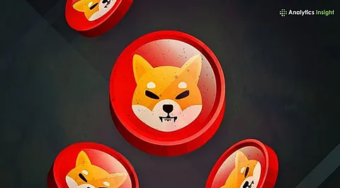 Shiba Inu Drops, Yet Wealthy Investors Keep Buying, Here’s Why
