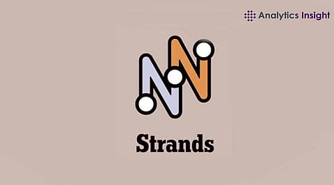 NYT Strands Hints and Answers for May 18, 2025